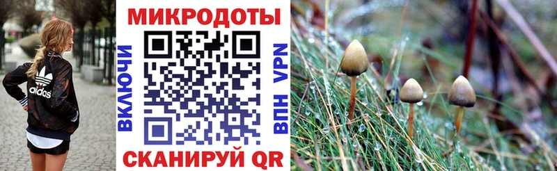 Галлюциногенные грибы мицелий Красноуфимск